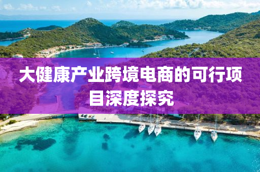 大健康產(chǎn)業(yè)跨境電商的可行項(xiàng)目深度探究